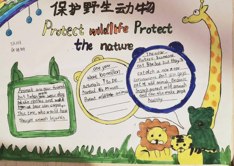 深圳市龙华中英文实验学校 英语学科周 ——五年级《保护野生动物》